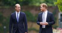 Prince William's rare remarks about estranged brother Prince Harry amid bitter feud unearthed