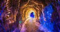 This year's best Christmas light trails including an illuminated underground railway