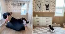 Inside luxurious bedroom for spoiled dogs treated like children by their owners