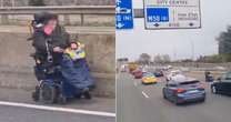 Pensioner cruises wrong way down busy motorway - on a motorised wheelchair