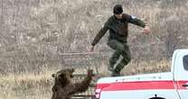 Terrifying moment bear released into wild by charity turns on ranger and attacks