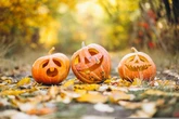 Pumpkin designs costing £1500 as demand soaring higher than ever due to Instagram