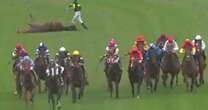 Champion racehorse feared dead after collapsing in race but makes ‘miraculous’ recoveryHorse racing