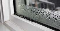 Put bowl of 59p ingredient near your window to rid condensation for good