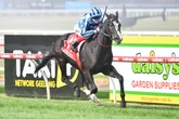 Jason Heavey's expert horse racing tips for Saturday, June 28 – 'he just loves the track'