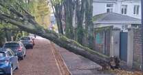 Storm Ashley sparks major power cuts as tens of thousands left without electricity