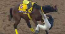 'Never seen that in 30 years' - Japanese Breeders’ Cup horse caught up in major scare