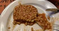 American makes beans on toast for first time and shares brutally honest verdictFood