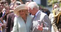 King Charles makes very relatable five-word joke after greeting cheering fans in AustraliaKing Charles III