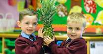 Kids can get at least one piece of fruit and veg a day through special Tesco gift card