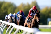 'He can motor home at the M62 track' – Jason Heavey's racing tips for Tuesday