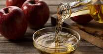 Urgent health warning to anyone drinking apple cider this autumn