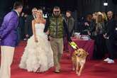 Loveable guide dog steals the show as he makes surprise red carpet appearance