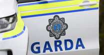 Robertstown: Boy, 15, killed in early morning hit-and-run horror as police make urgent appeal