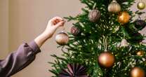 Warning to look out for 'subtle signs' of cancer while decorating Christmas tree