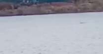 'Loch Ness Monster' in jaw-dropping footage that 'couldn't be anything else'