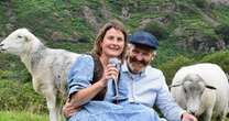 Happy couple tie the knot - with sheep that sparked their romance