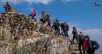 Woman climbs famous UK mountain – but is floored by what she finds at top