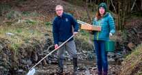 British rivers filled with almost 34,000 tonnes of toxic farming waste