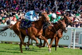 Pick a winner with your Daily Star this Royal Ascot