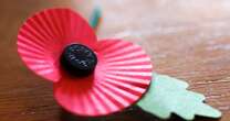 Correct way to wear Remembrance Day poppy - and different rule if you're serving