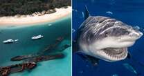 Shark attack horror at Australia holiday hotspot as tourist airlifted to hospital after bite