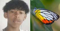 Boy, 14, suffers painful 7-day death after injecting himself with butterfly for 'challenge'