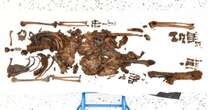 Young woman 'decapitated in ritual sacrifice' as 2,000-year-old mystery revealed