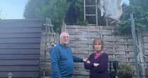 Neighbours in five-year war over hedge that's gone all the way to government