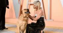 Selma Blair’s health battle explained as service dog steals the show at Oscars after party