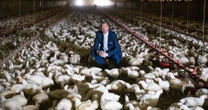 opinionKeep your chlorine chicken, America - Britain must not pay this price for a trade deal