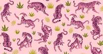 Weird health condition stops people from imagining pink tigers - can you picture them?