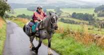 Woman, 82, rides pony 600-miles with her beloved dog in saddlebag beside her