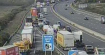 LiveM4 traffic LIVE: Motorway closed as horse on loose sparks travel chaos