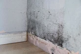 Quarter of UK adults live in damp and mouldy homes as health fears grow