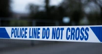 Corhampton crash: Two boys, 16 and 17, killed after car smashes into tree