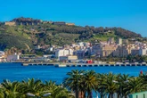 Pensioner 'becomes latest British drug mule' as he attempts to smuggle dugs into Spain