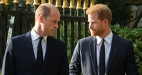 Rosie Roche dead: Prince William and Harry's cousin, 20, found dead next to gun