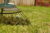 'Simple mistake' makes moss thrive in your lawn as it adores one ingredient