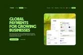 Wise explores UK banking licence after abandoning London stock market listing