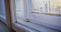 Stop condensation on windows with 'life saver' item which prevents mould