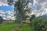 Photos of the 'bubonic plague village' that lies untouched in a Midlands beauty spot