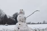 Grandparent 'disgusted' by 7ft snowman after closer look at 'very realistic' ice pop