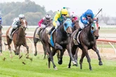 Horse racing chaos as heatwave sees events abandoned – full list