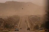 Deadly 'Valley Fever' fungus set to sweep 11 locations in toxic summer storms