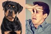 Surprise breed officially the dogs with most rip-roaring fart - see top trumpers list