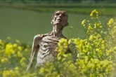 Danny Boyle's behind-the-scenes film secrets as 28 Years Later hits cinemas
