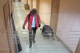 Cop caught on CCTV 'forcing bloke to crawl on all-fours' while shouting 'I am a tiger'