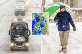 UK set to be hit by Arctic blast as some areas due for '3pm per hour' blizzards