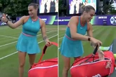 Aryna Sabalenka in furious outburst as tennis match suspended – 'she's just losing'